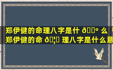 郑伊健的命理八字是什 🌺 么「郑伊健的命 🦊 理八字是什么意思」